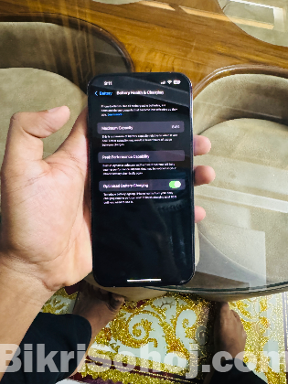 iPhone 13 pro max